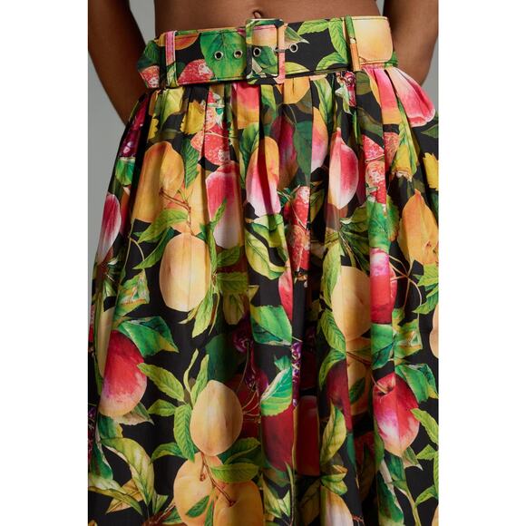 NWT Anthropologie Maeve Fruit Belted Maxi Skirt - Size 12 - Picture 3 of 8